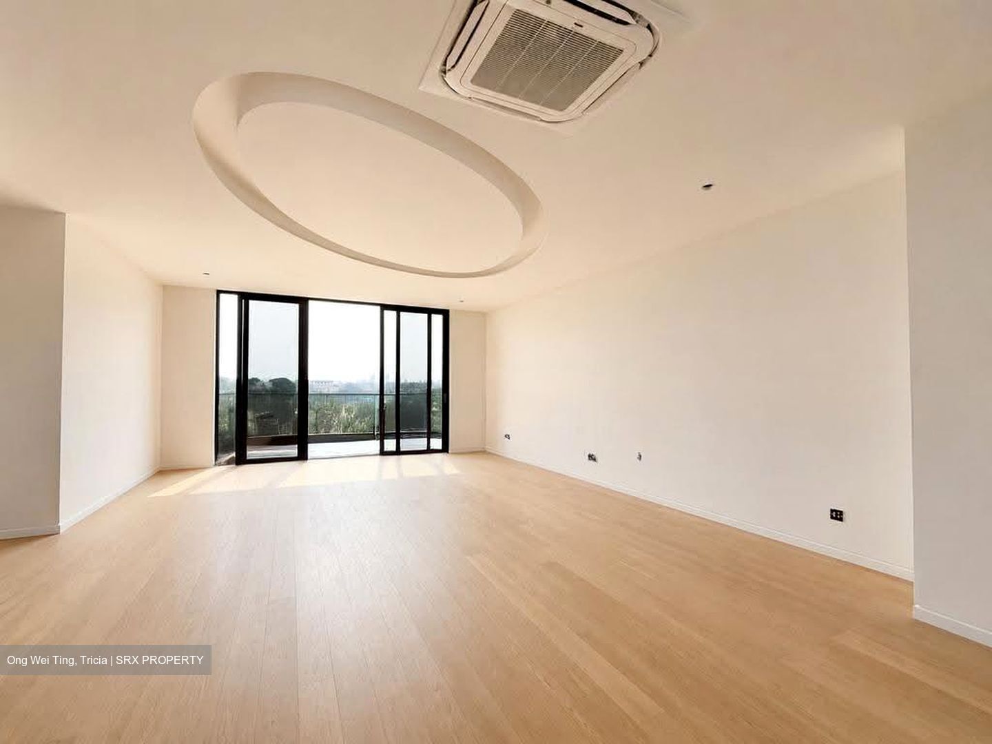 Watten Estate (D11), Detached #607163151